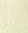 light yellow wedding organza sash